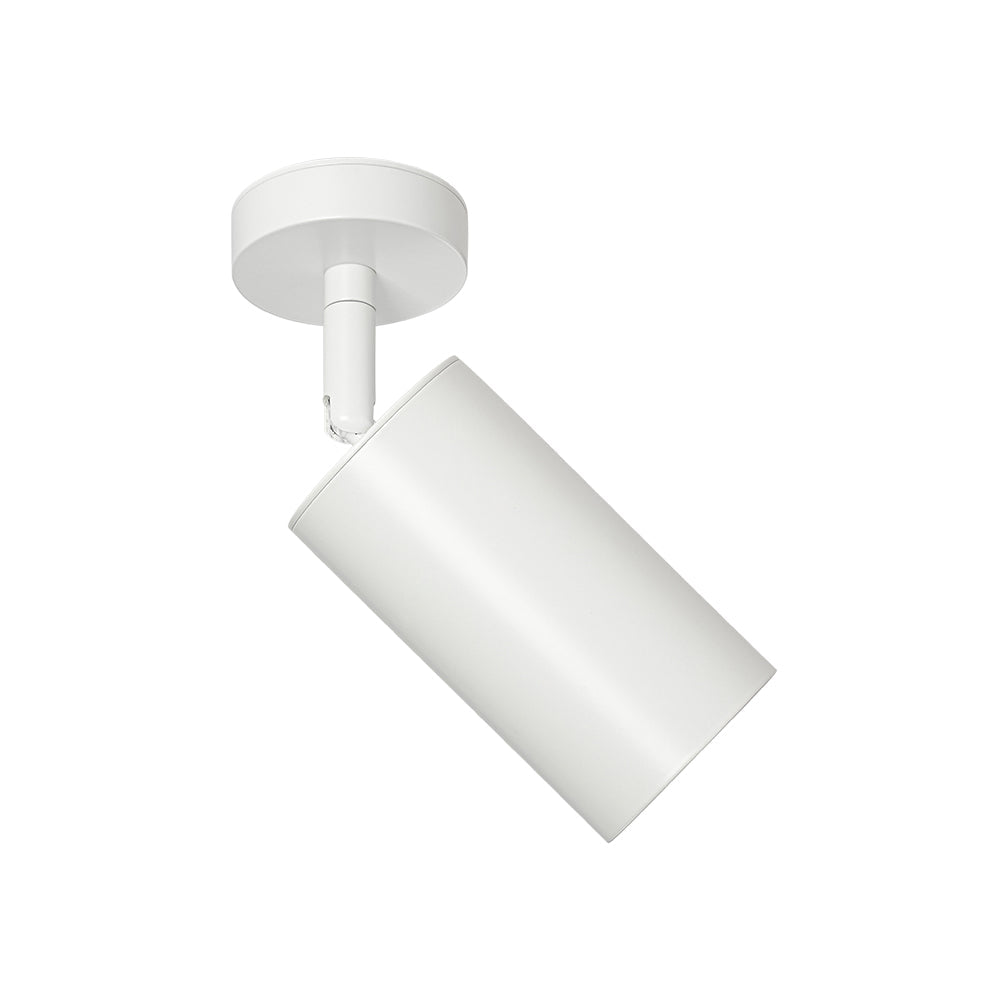 Ceiling Light | Swivel Cylinder Spotlight Design