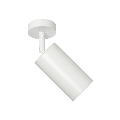 Ceiling Light | Swivel Cylinder Spotlight Design