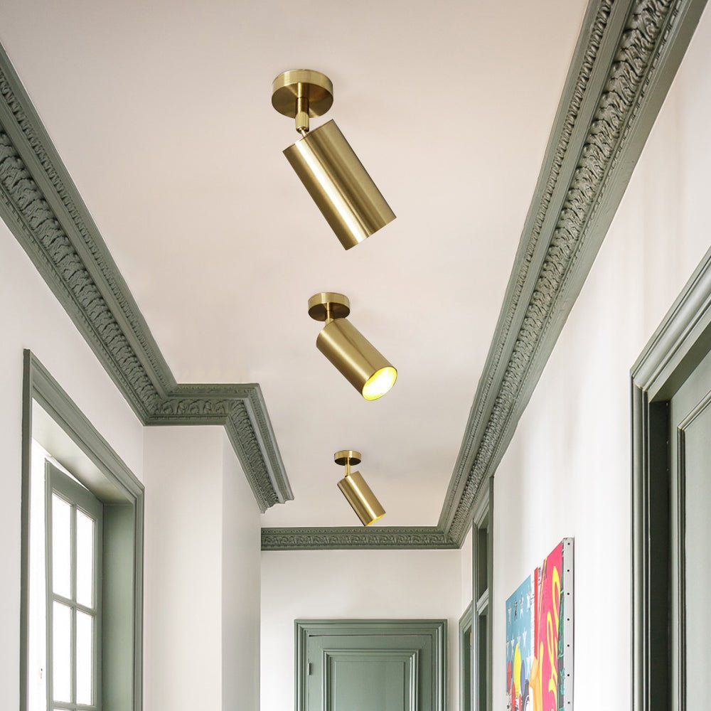 Ceiling Light | Swivel Cylinder Spotlight Design