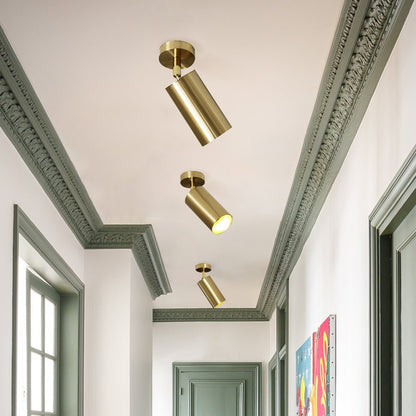 Ceiling Light | Swivel Cylinder Spotlight Design