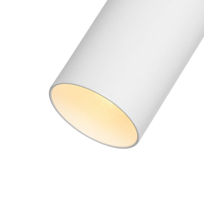 Ceiling Light | Swivel Cylinder Spotlight Design