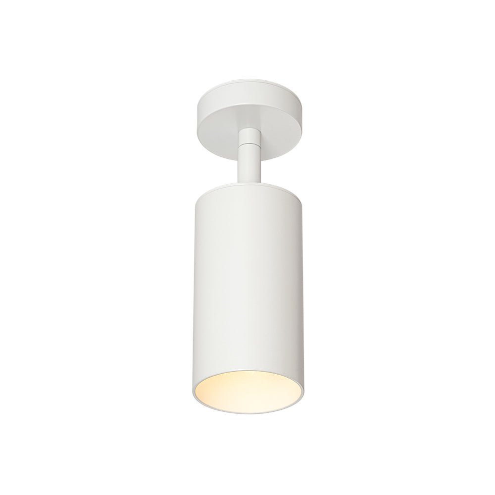 Ceiling Light | Swivel Cylinder Spotlight Design