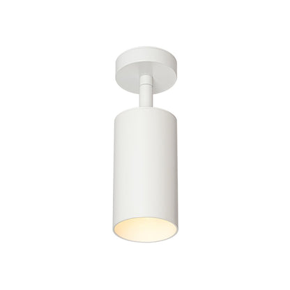 Ceiling Light | Swivel Cylinder Spotlight Design