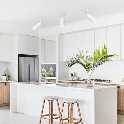 Ceiling Light | Swivel Cylinder Spotlight Design