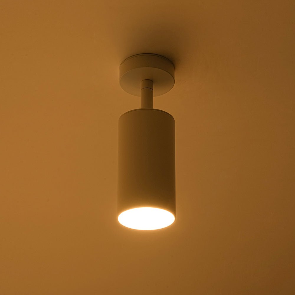 Ceiling Light | Swivel Cylinder Spotlight Design