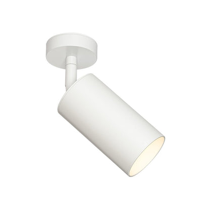 Ceiling Light | Swivel Cylinder Spotlight Design
