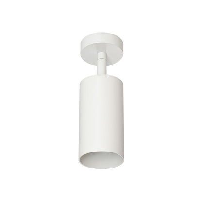 Ceiling Light | Swivel Cylinder Spotlight Design