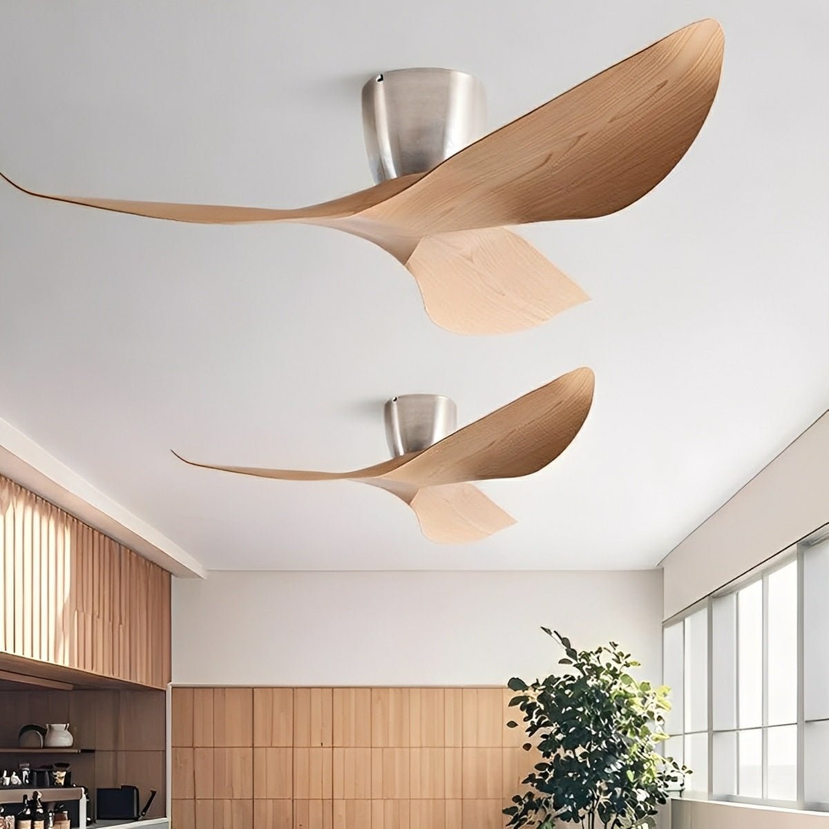 Ceiling Fan | Sculptural Wing Blade Design