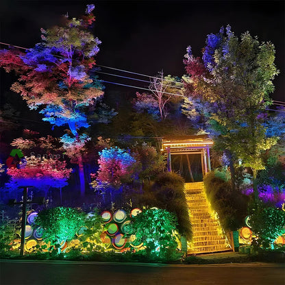 Spot Light | Multi-Colour Landscape Design
