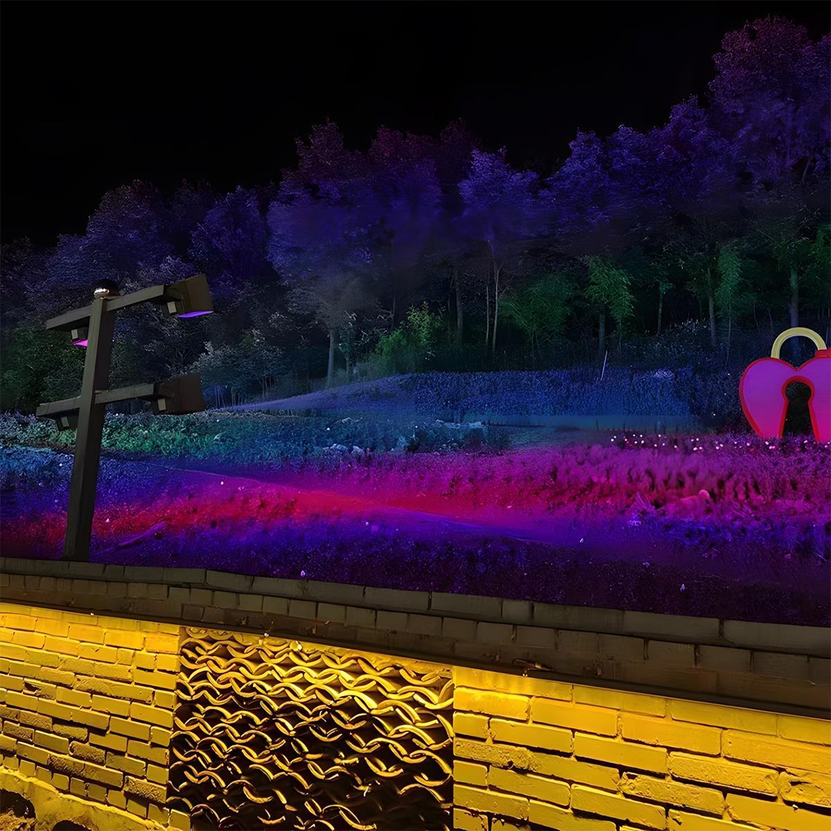 Spot Light | Multi-Colour Landscape Design