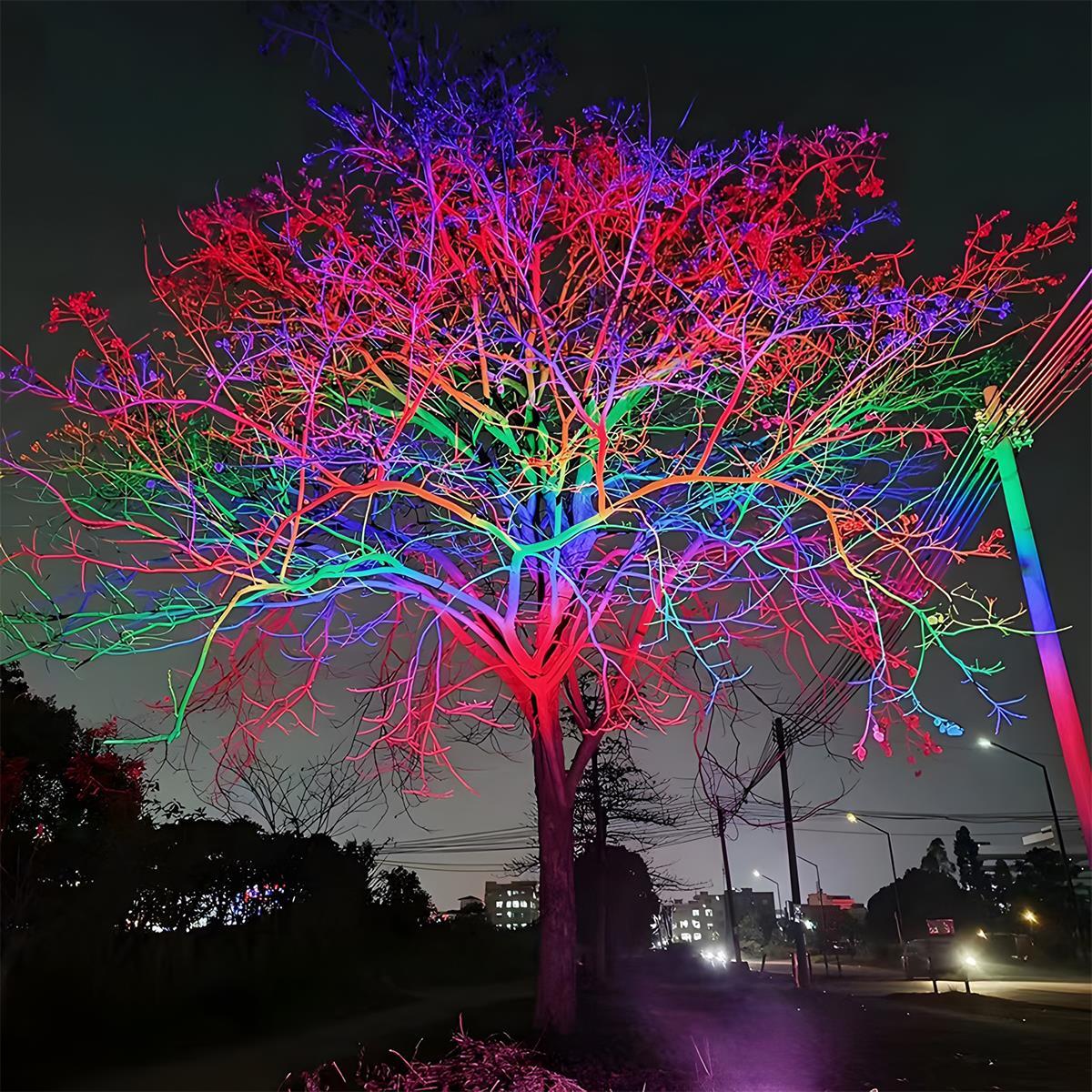 Spot Light | Multi-Colour Landscape Design