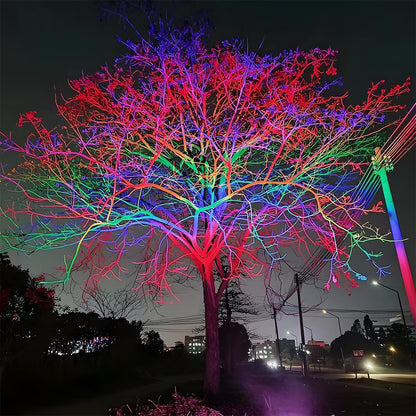 Spot Light | Multi-Colour Landscape Design