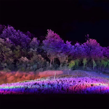 Spot Light | Multi-Colour Landscape Design